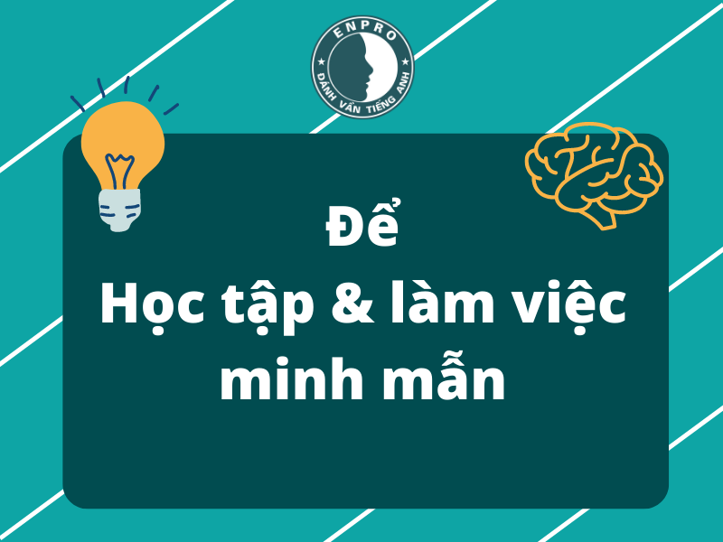 Để học tập và làm việc cả ngày tốt hơn với trí óc minh mẫn
